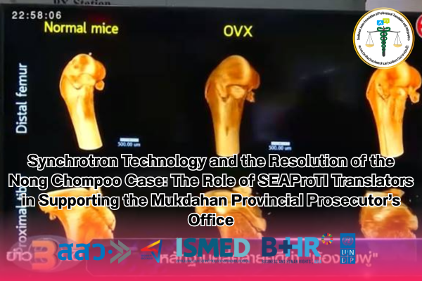 Synchrotron Technology and the Resolution of the Nong Chompoo Case